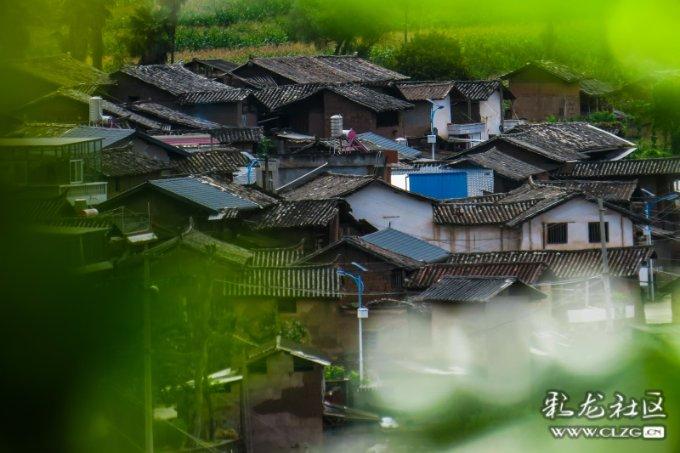 哈哈体育